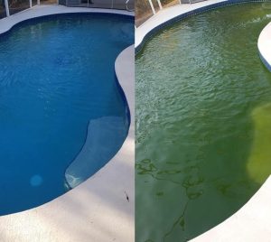 algae-treatment